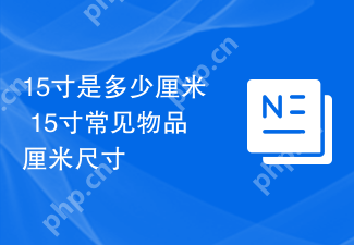 15寸是多少厘米 15寸常见物品厘米尺寸