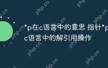 *p在c语言中的意思 指针*p在c语言中的解引用操作