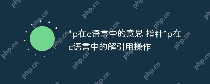*p在c语言中的意思 指针*p在c语言中的解引用操作