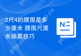 2尺4的腰围是多少厘米 腰围尺厘米换算技巧