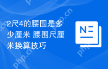 2尺4的腰围是多少厘米 腰围尺厘米换算技巧