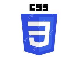 css中p是什么意思 css中p标签的定义说明