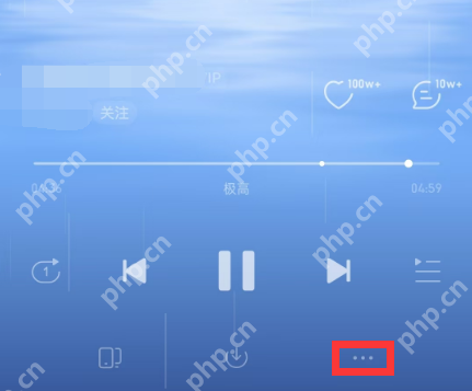 网易云音乐怎么设置动态封面 网易云音乐设置动态影像封面教程分享