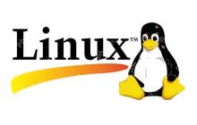 linux如何使用grep命令？grep命令常用选项有哪些？