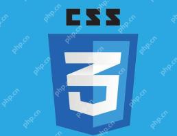 css中外边距和内边距的区别 css边距类型差异解析