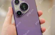 华为手机怎样看wifi密码 华为手机查看wifi密码的3种方法