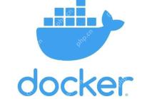 怎样查看docker容器的运行日志？ logs命令有哪些参数？