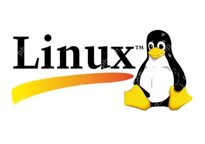 linux如何管理磁盘空间？linux磁盘管理命令有哪些？-小浪学习网