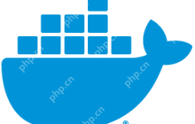 如何查看docker的版本信息？ version命令有哪些输出？