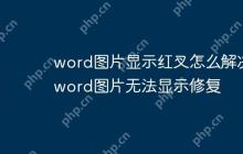 word图片显示红叉怎么解决 word图片无法显示修复