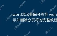 word怎么删除分页符 word显示并删除分页符的完整教程