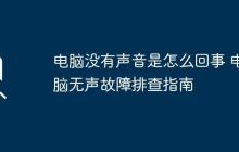电脑没有声音是怎么回事 电脑无声故障排查指南