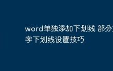word单独添加下划线 部分文字下划线设置技巧