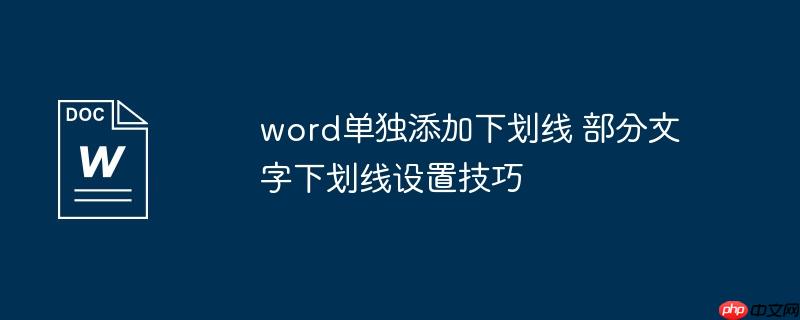 word单独添加下划线 部分文字下划线设置技巧