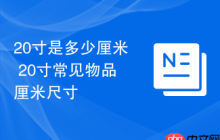 20寸是多少厘米 20寸常见物品厘米尺寸