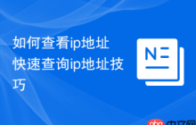 如何查看ip地址 快速查询ip地址技巧