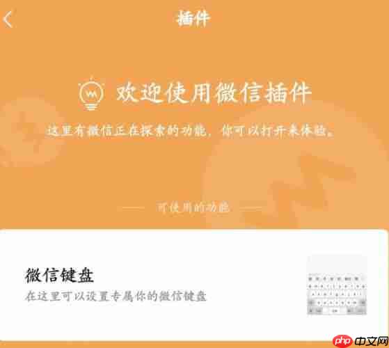 微信如何启用微信键盘插件 微信启用微信键盘插件方法介绍