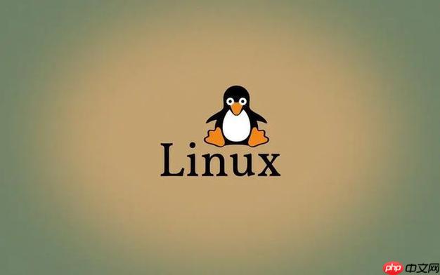 Linux如何查看系統版本？常見的Linux版本查詢命令有哪些？-小浪學習網