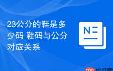 23公分的鞋是多少码 鞋码与公分对应关系