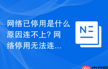 网络已停用是什么原因连不上? 网络停用无法连接的原因分析