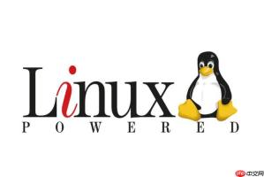 如何理解linux文件权限?linux中chmod命令怎么使用?