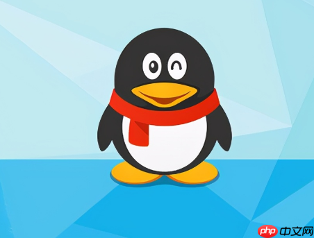 QQ怎么开启闪图功能 QQ开启闪图功能方法分享