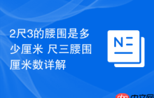 2尺3的腰围是多少厘米 尺三腰围厘米数详解