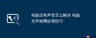 电脑没有声音怎么解决 电脑无声故障处理技巧