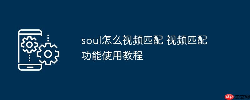soul怎么视频匹配 视频匹配功能使用教程
