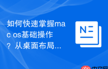 如何快速掌握mac os基础操作？从桌面布局到文件管理轻松上手