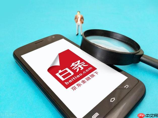 京东白条如何关闭自动扣款功能 自动扣款关闭方法