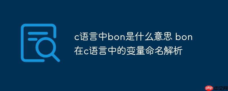 c语言中bon是什么意思 bon在c语言中的变量命名解析