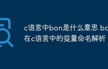 c语言中bon是什么意思 bon在c语言中的变量命名解析