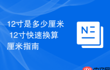 12寸是多少厘米 12寸快速换算厘米指南