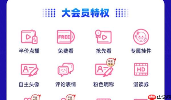 哔哩哔哩大会员和超级大会员区别