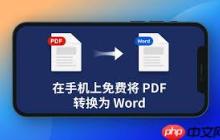 手机上pdf怎么转word_手机pdf怎样转换成word