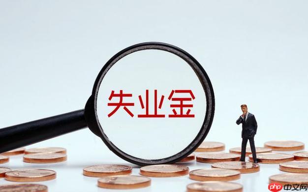 失业金怎么申请领取 手把手教你完成失业金申领全流程