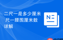 二尺一是多少厘米 尺一腰围厘米数详解
