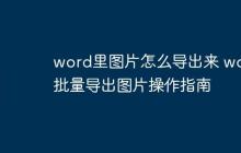 word里图片怎么导出来 word批量导出图片操作指南