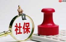 社保查询个人账户缴费明细查询 如何查询个人社保缴费明细记录