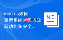 mac os如何更新系统？保持最新功能和安全补丁