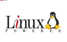 Linux如何管理Docker容器？常用Docker命令有哪些？