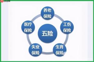 五险指什么有什么好处 五险内容及作用全面解析