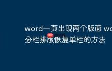 word一页出现两个版面 word分栏排版恢复单栏的方法