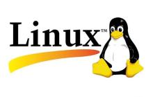 linux如何查看端口占用？怎样释放被占端口？