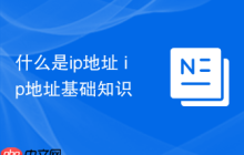 什么是ip地址 ip地址基础知识