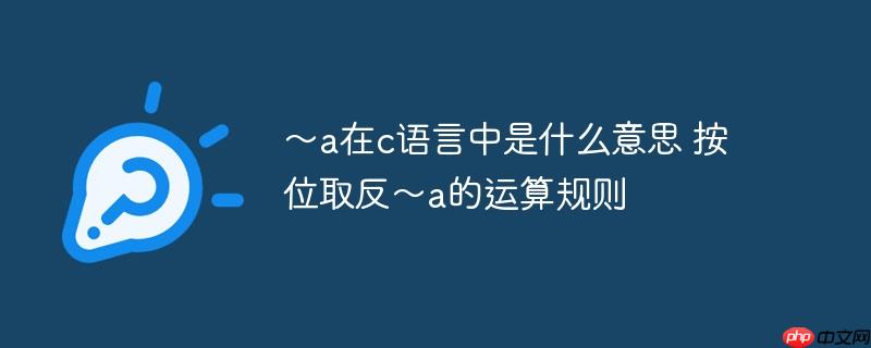 ～a在c語(yǔ)言中是什么意思 按位取反～a的運(yùn)算規(guī)則-小浪學(xué)習(xí)網(wǎng)