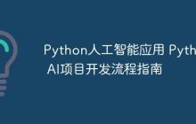 Python人工智能应用 Python AI项目开发流程指南