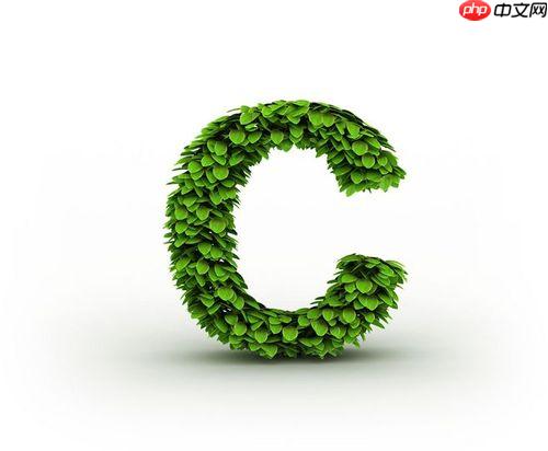 c++中的nullptr怎么用？和null有什么区别？