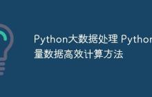 Python大数据处理 Python海量数据高效计算方法